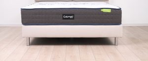 Colmol SSI Planet