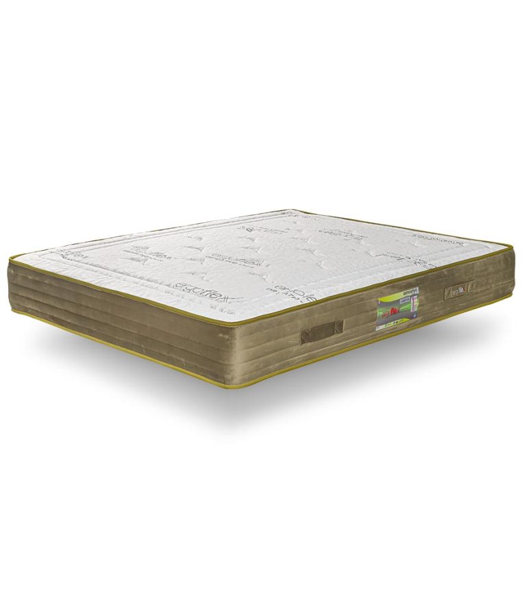 Ergoflex Ortoativo